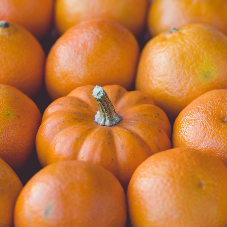 Pumpkin Sheet Medium