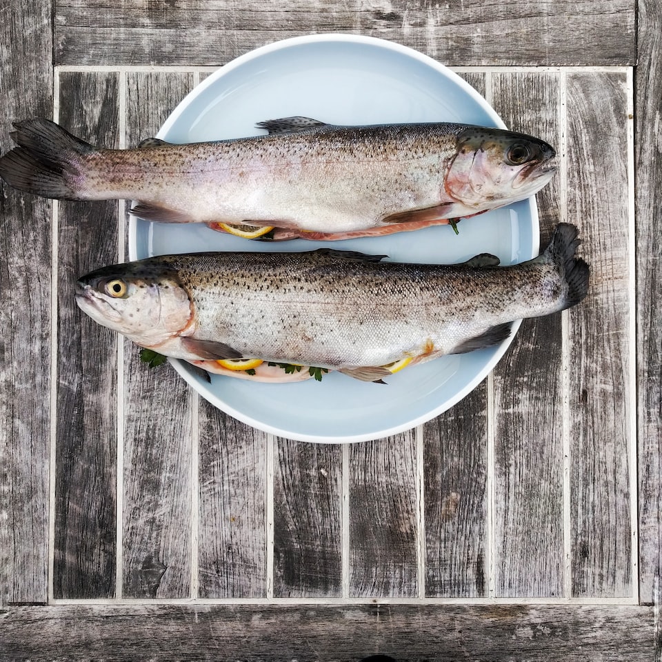 Large Fish Shampoo Banana