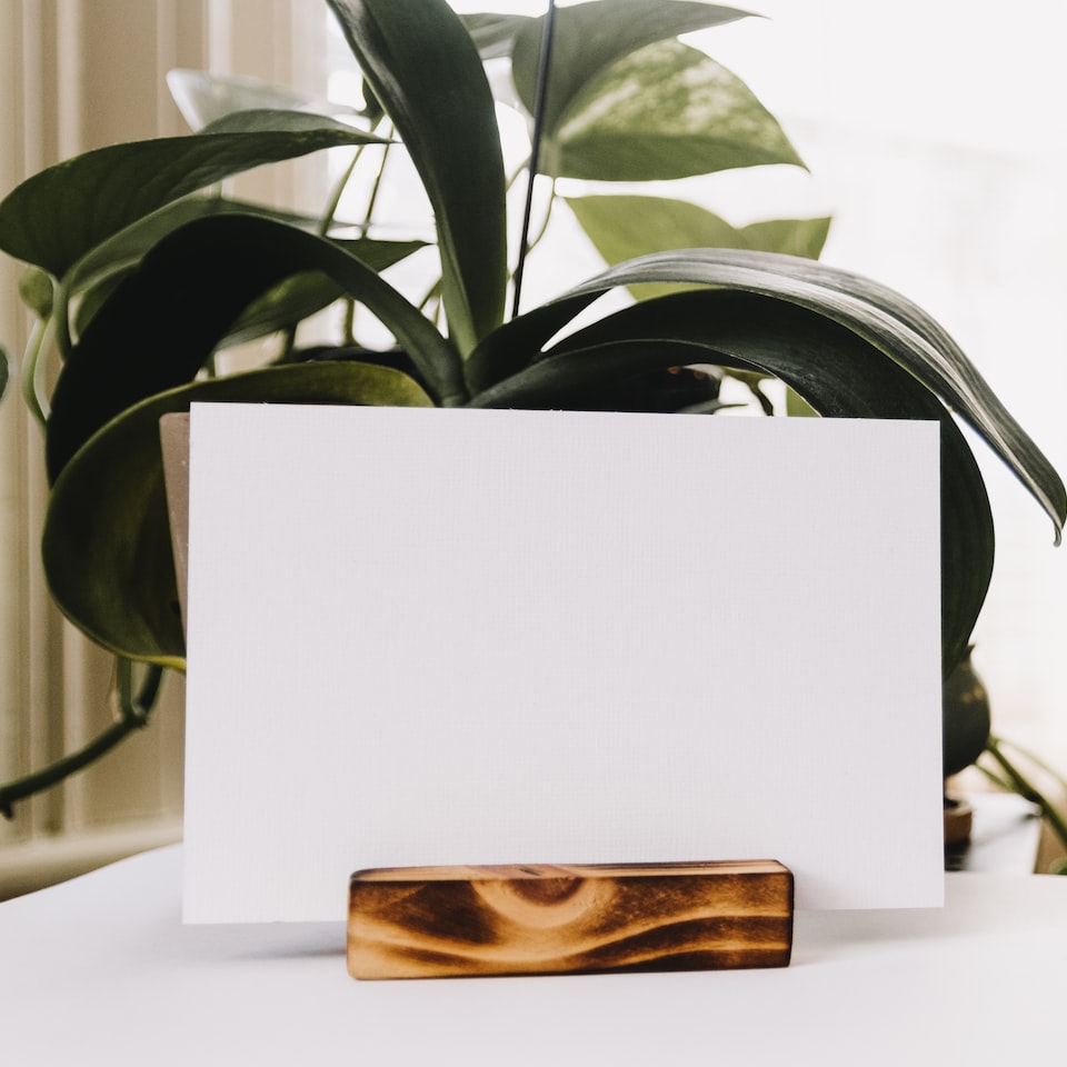 Card Motorola Bikini